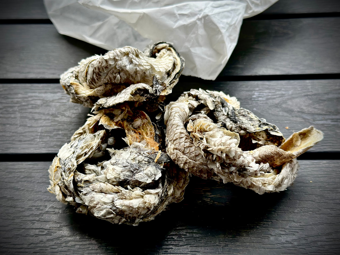 Dorsch-Donuts – knuspriger Fischsnack aus 100 % Dorsch