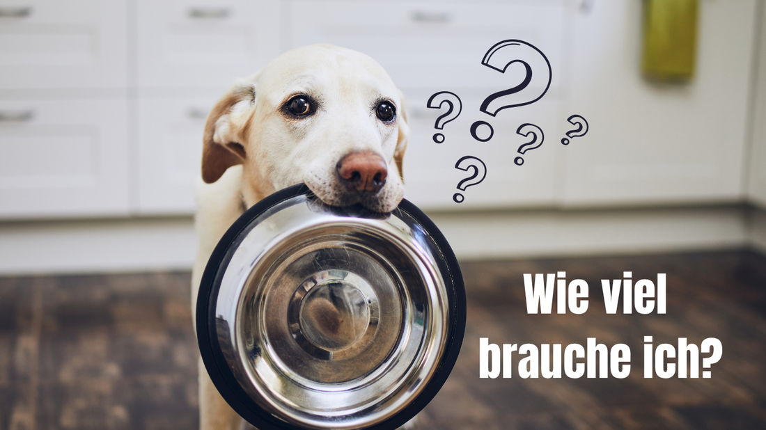Hund haelt leeren Futternapf im Maul, daneben Fragezeichen und Text 'Wie viel brauche ich?'