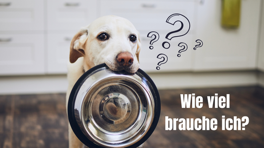 Hund haelt leeren Futternapf im Maul, daneben Fragezeichen und Text 'Wie viel brauche ich?'