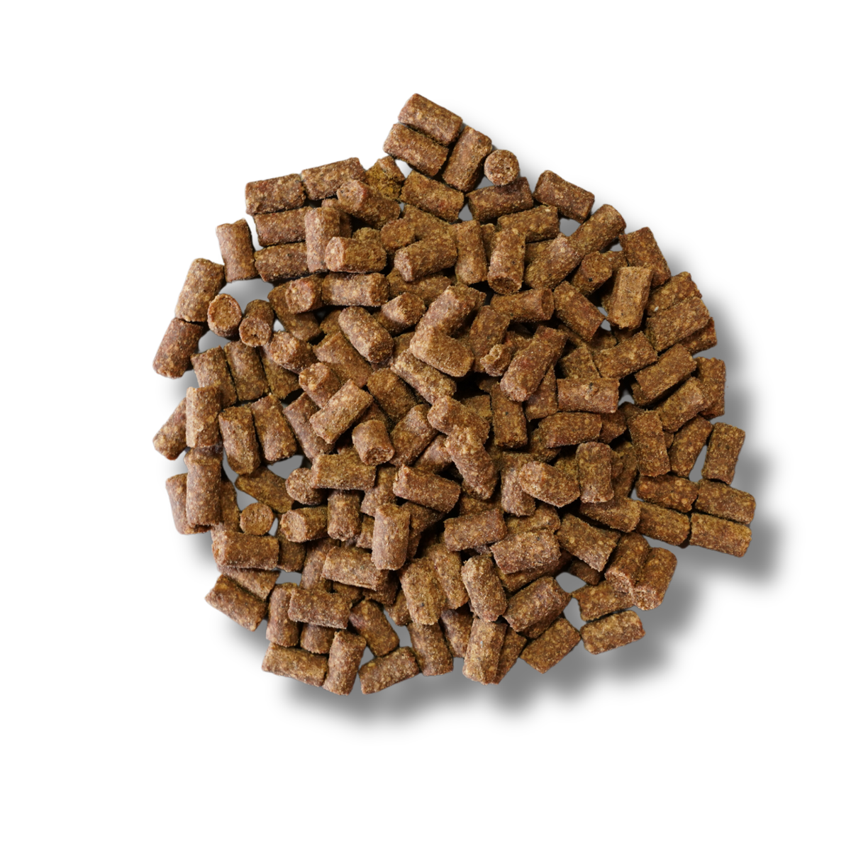 Lachsfleischminis