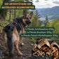 Kollagen-Booster-Bundle