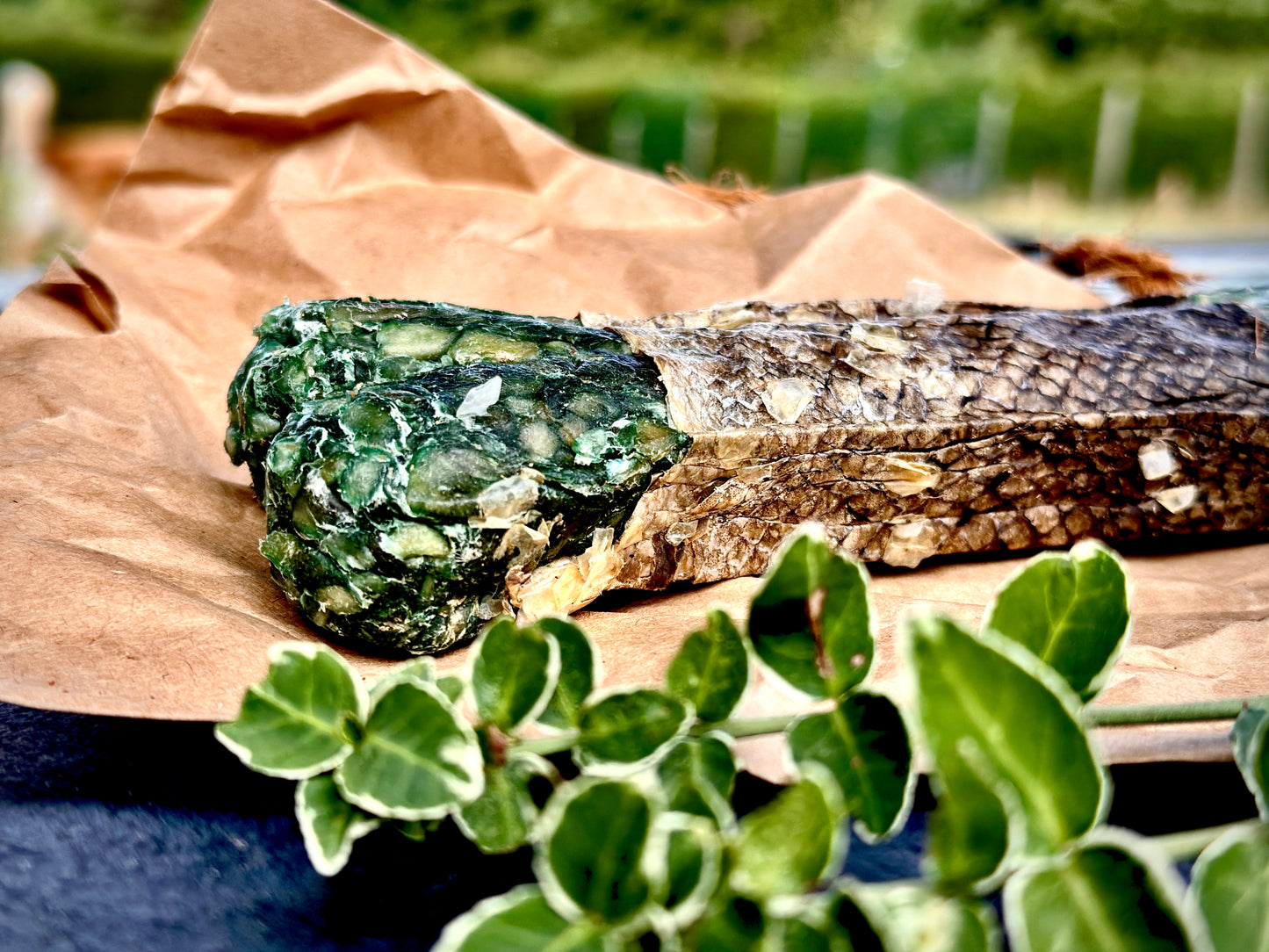 🦴 OmegaPlus Kauknochen – 17 cm