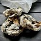 Dorsch-Donuts – knuspriger Fischsnack aus 100 % Dorsch