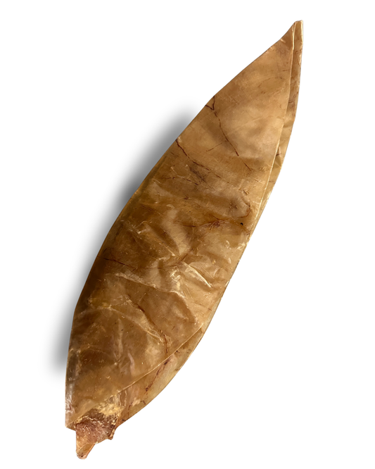 Kälberblase Natur