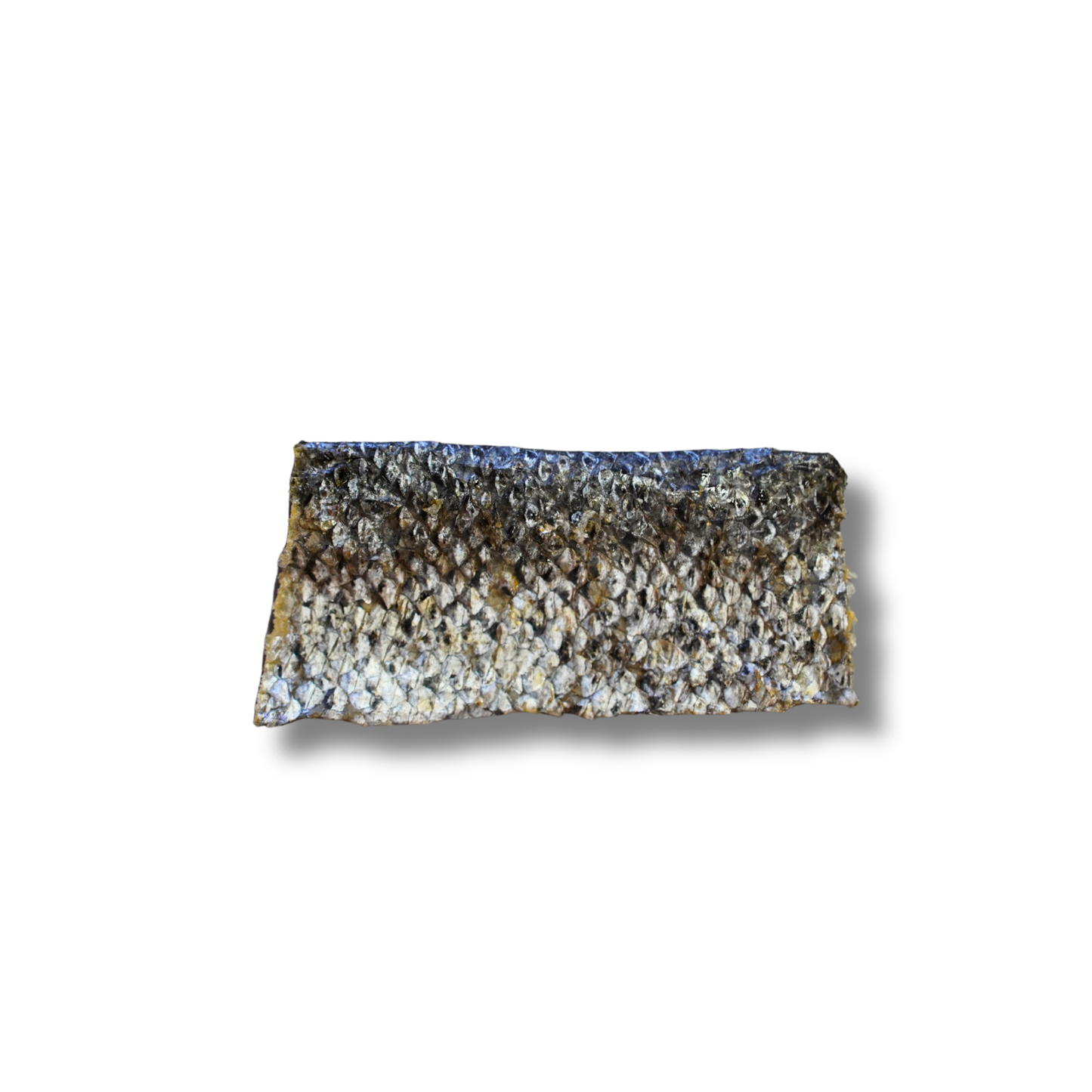Lachshautstreifen (15 cm)