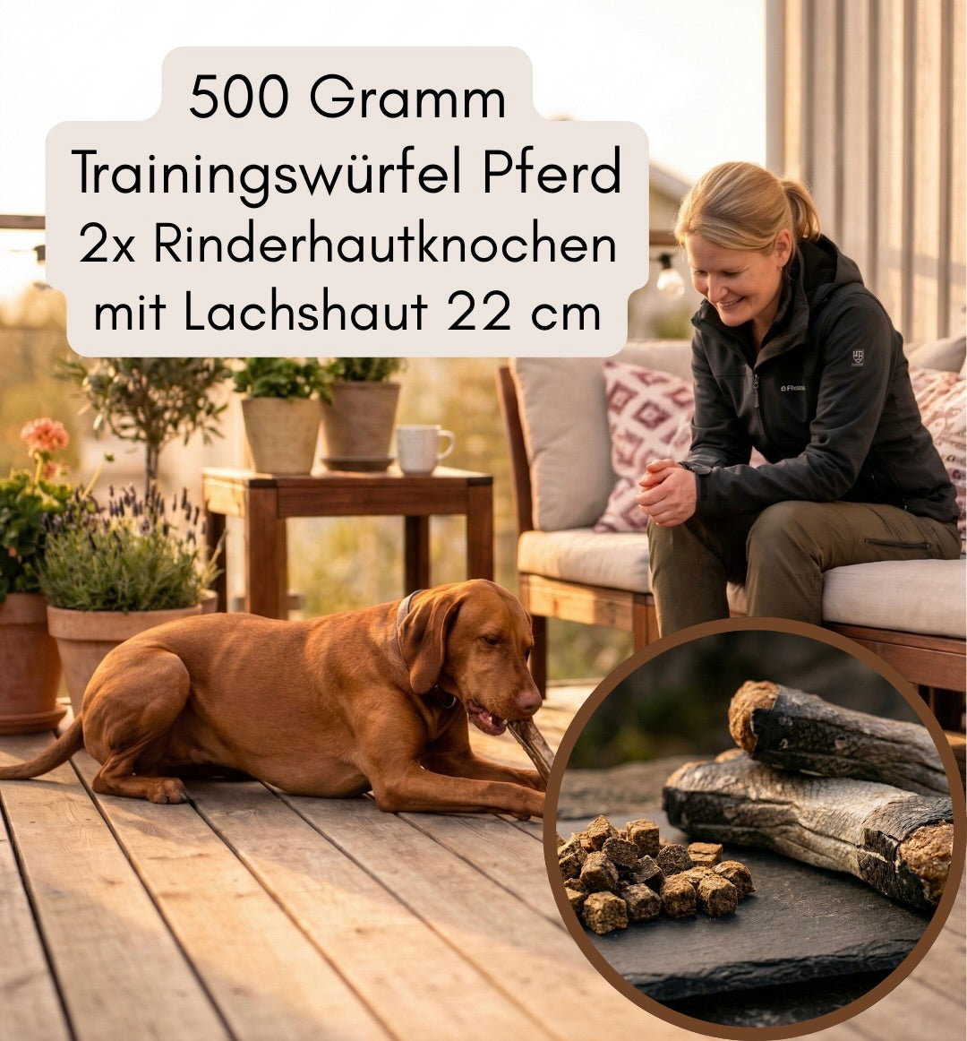Aktivpaket