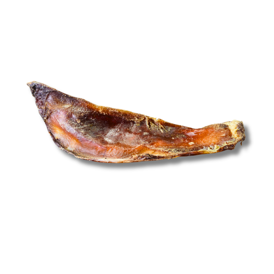 Schulterknorpel vom Rind
