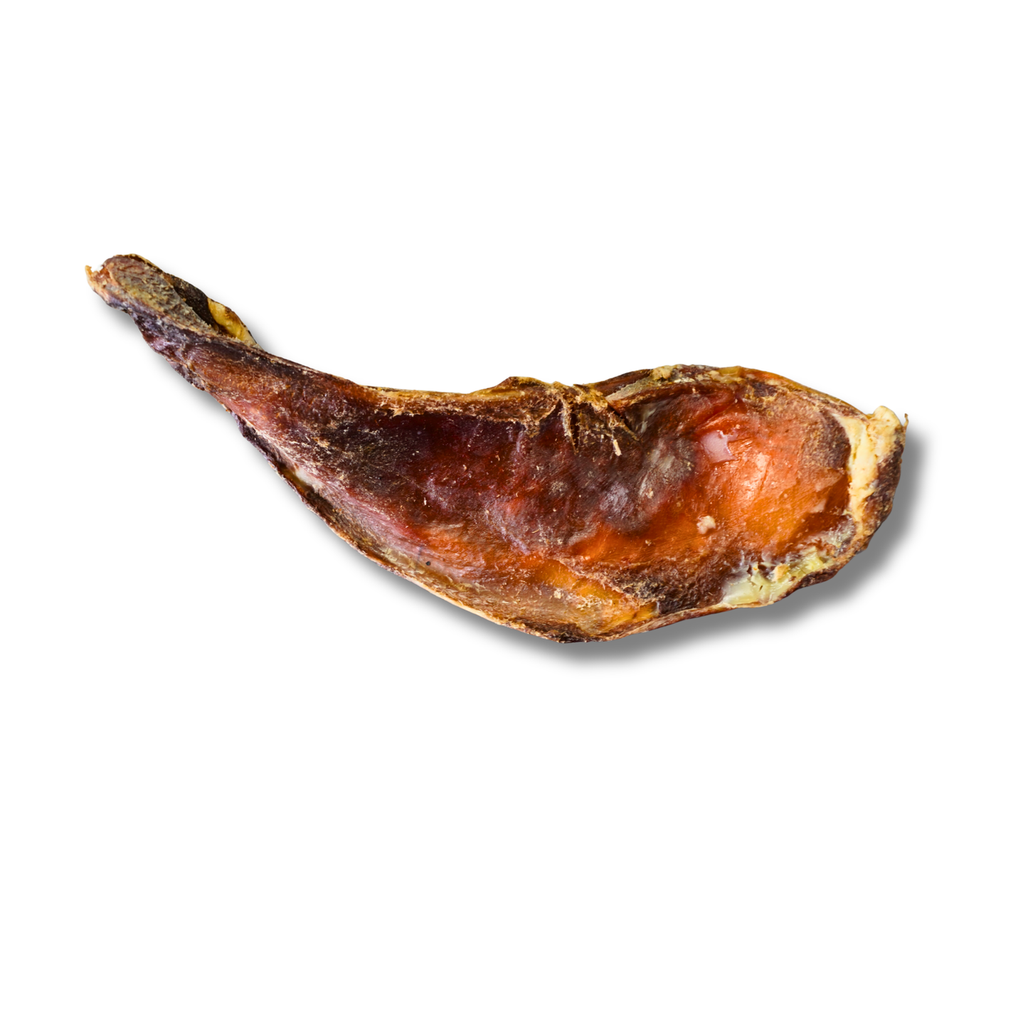 Schulterknorpel vom Rind