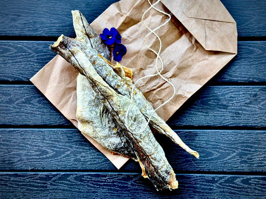 Hechtfilets aus 100 % Hecht – natürlicher Fischsnack für Hunde
