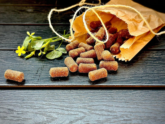 Insekten Soft – weicher, nachhaltiger Insektensnack für Hunde